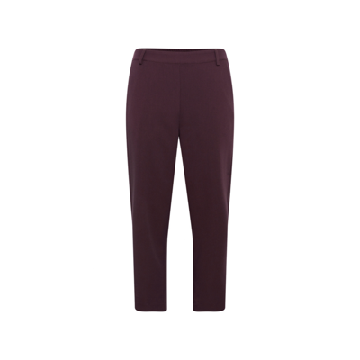 Kasakura buks - Fudge