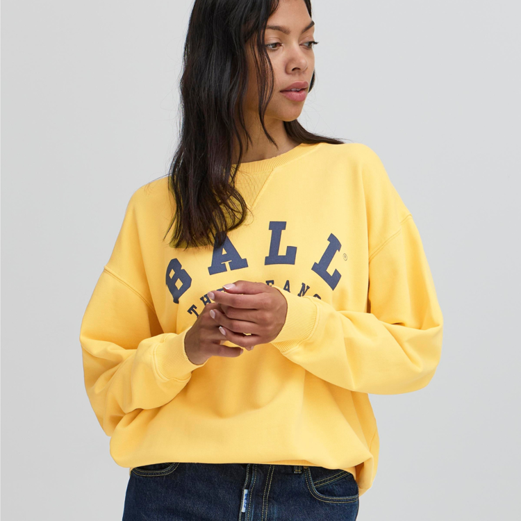 Bamaldini sweat - Beach ball