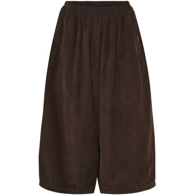 Mdcbluebell buks - Moro